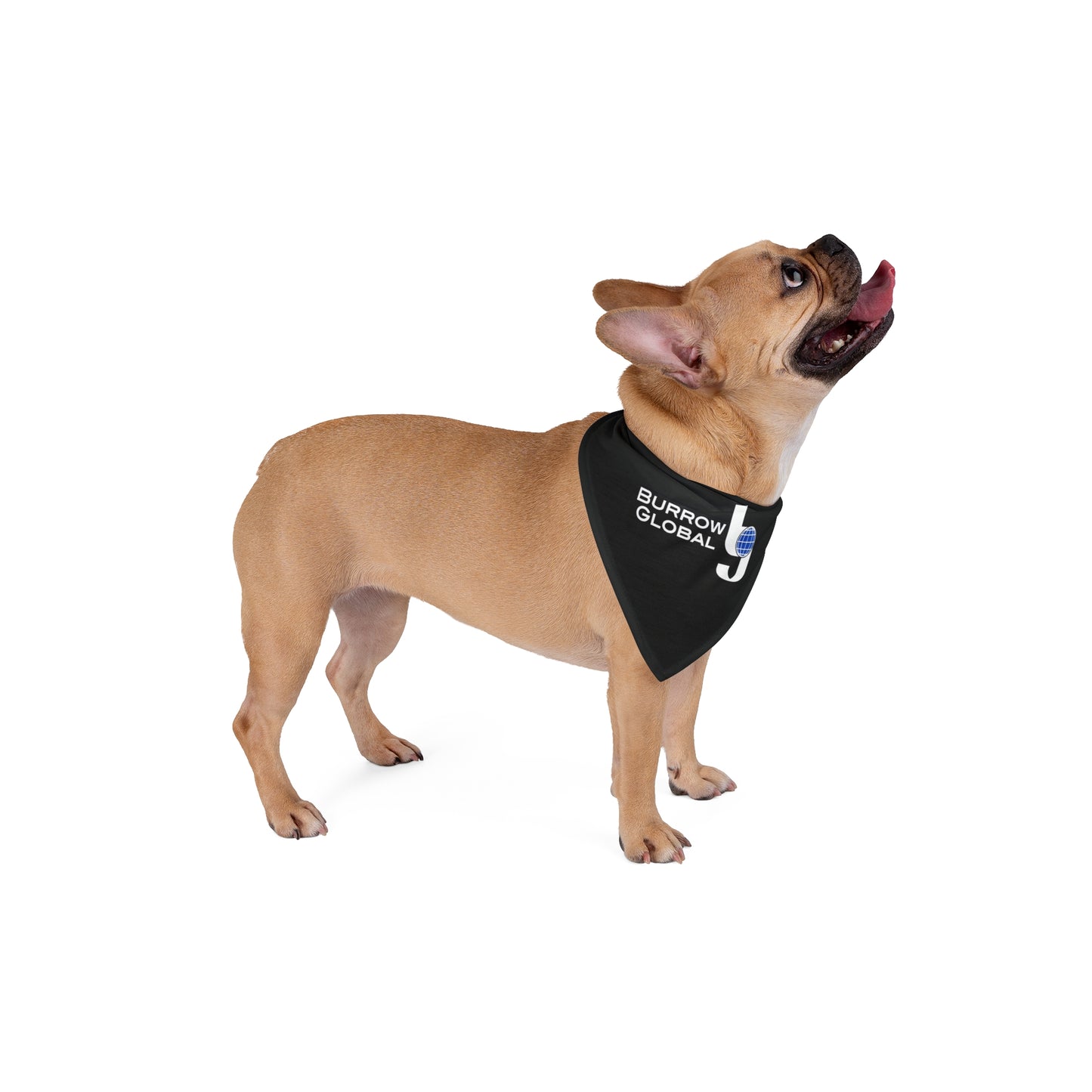 Pet Bandana
